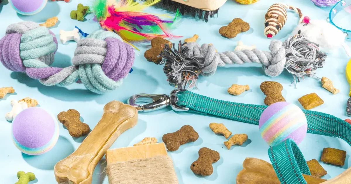 Pet Shop Products List 10 Essential Items To Sell